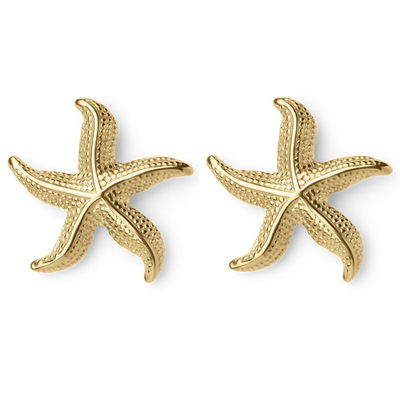 Briana – Elegant Curved Starfish – Earrings